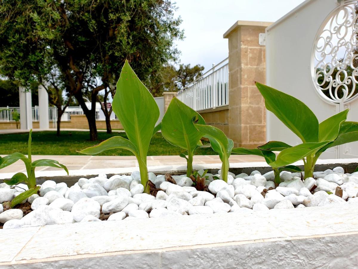 La Baia Apartments Торе Лапило Екстериор снимка